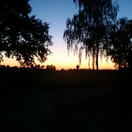 Entspannen & Wohlfuehlen In Der Lueneburger Heide Vierhofen Esterno foto